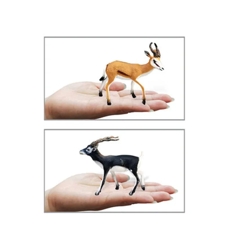 8*9MM Simulation Wil Animals Models PVC Action Figures Antelope Springbok Collection Dolls Toys for Children Gift Decoration Toy
8*9MM Simulation Wil Animals Models PVC Action Figures Antelope Springbok Collection Dolls Toys for Children Gift Decoration Toy