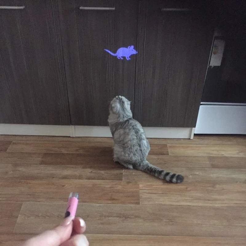 Amazingly Cat Toy Creative and Funny Pet Cat Toys LED Pointer light Pen With Bright Animation Mouse
Amazingly Cat Toy Creative and Funny Pet Cat Toys LED Pointer light Pen With Bright Animation Mouse