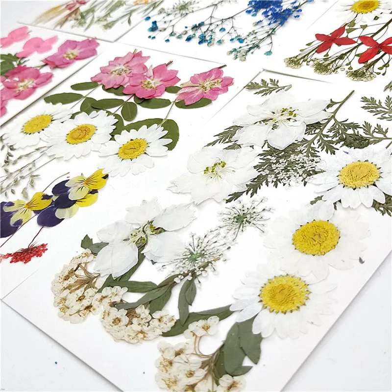 1 Bag Colorful Real Dried Flower Plant For Aromatherapy Candle Epoxy Resin Pendant Necklace Jewelry Making Craft Diy Accessories
1 Bag Colorful Real Dried Flower Plant For Aromatherapy Candle Epoxy Resin Pendant Necklace Jewelry Making Craft Diy Accessories