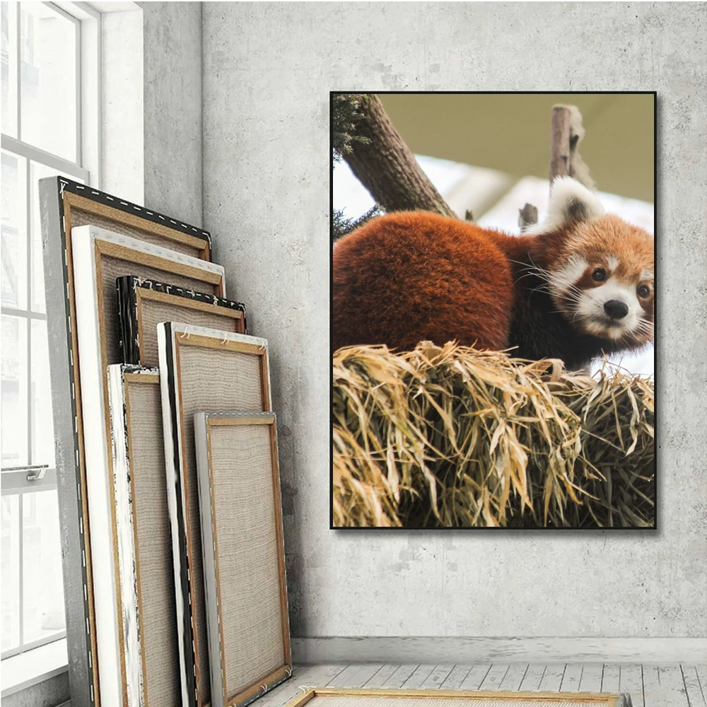 Special Living Bohemian Decor HD Anime Poster Home Decorative Painting Room Decoration Baby Girl Home Interior
Special Living Bohemian Decor HD Anime Poster Home Decorative Painting Room Decoration Baby Girl Home Interior