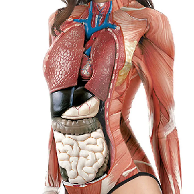 Women's Skeleton Human Organs Printing Novelty Weird Costume Cosplay Props BMF88