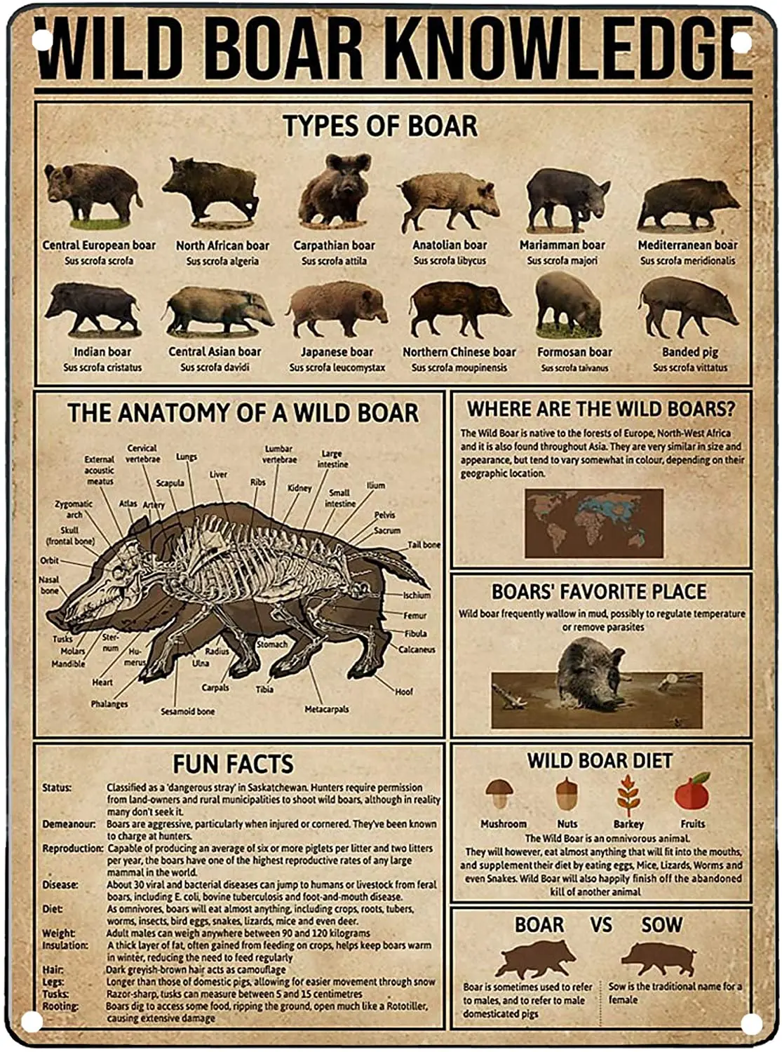 Vintage Metal Signs for Kitchen Wild Boar Knowledge Print Tin Wall Metal Sign Anniversary Birthday Christmas Housewarming Bar
Vintage Metal Signs for Kitchen Wild Boar Knowledge Print Tin Wall Metal Sign Anniversary Birthday Christmas Housewarming Bar