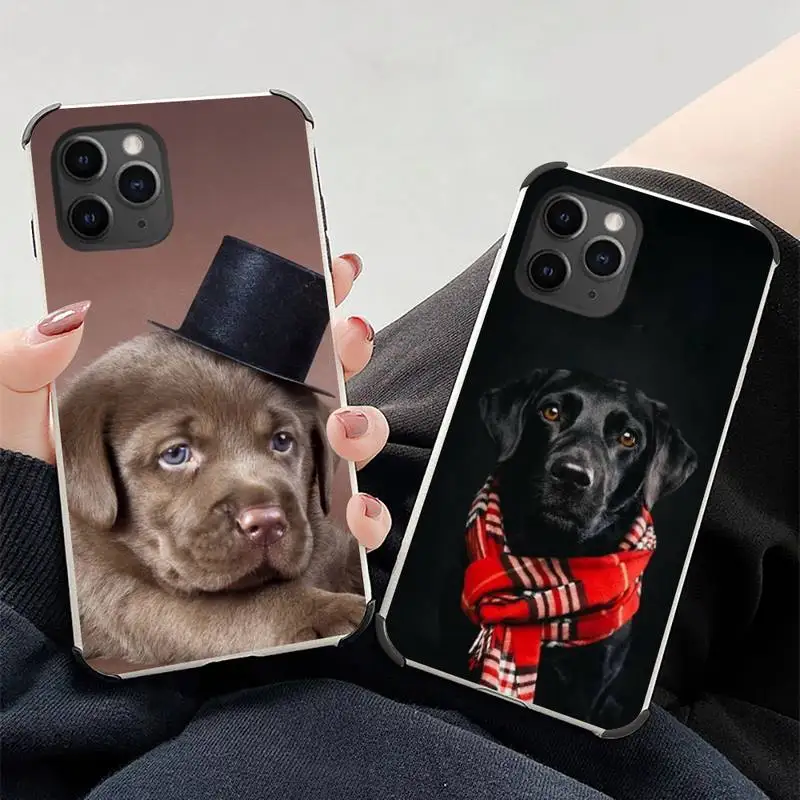 Sad Labrador Dog Phone Case Lambskin Leather For iphone 12 11 8 7 6 XR X XS PLUS MINI PLUS PRO MAX Shockproof
Sad Labrador Dog Phone Case Lambskin Leather For iphone 12 11 8 7 6 XR X XS PLUS MINI PLUS PRO MAX Shockproof