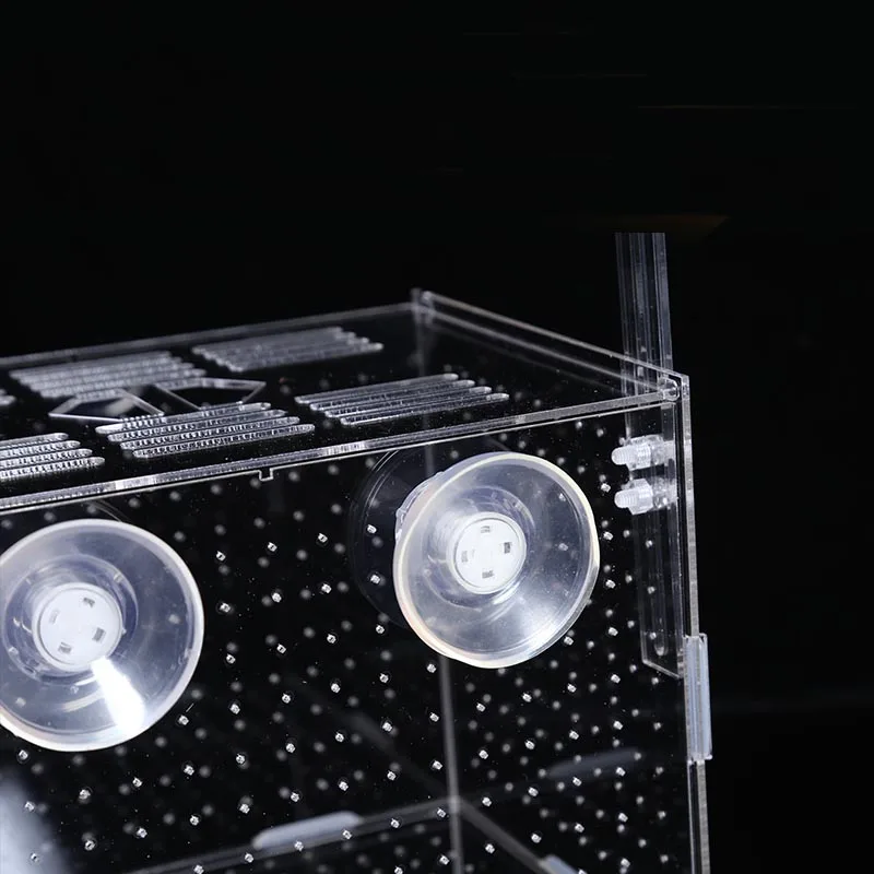 Fish tank aquarium small fish isolation net tropical fish breeding box production box 10X10X10CM acrylic aquarium supplies
Fish tank aquarium small fish isolation net tropical fish breeding box production box 10X10X10CM acrylic aquarium supplies