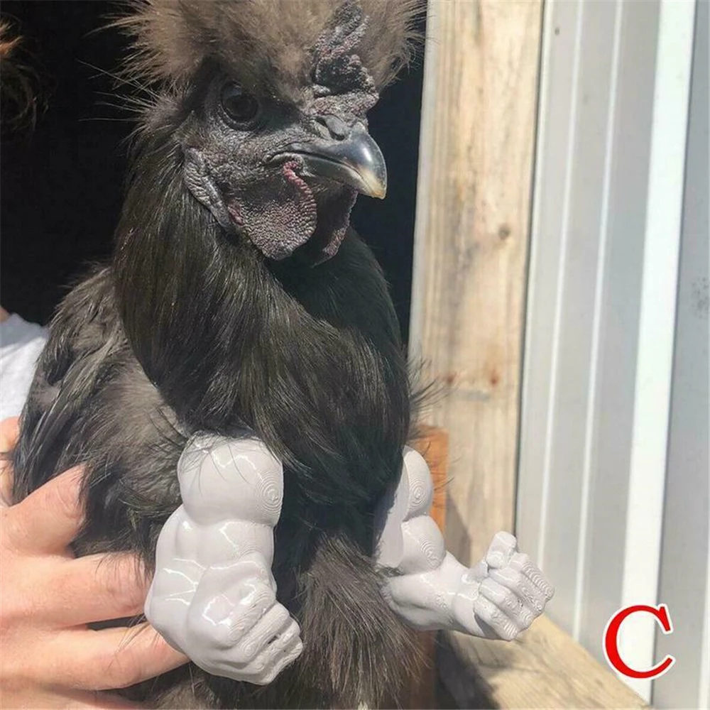 Muscle Chicken Arms Gag Gifts Chicken Arm For Chicken To wear Muscle Arms New Interesting Design All-Purpose High Quality
Muscle Chicken Arms Gag Gifts Chicken Arm For Chicken To wear Muscle Arms New Interesting Design All-Purpose High Quality