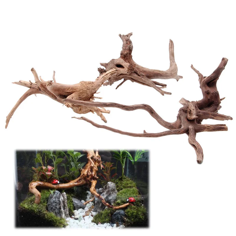 1 Pcs Wood Natural Trunk Driftwood Tree Aquarium Fish Tank Plant Stump Aquarium Fish Tank Ornament Landscaping Decoration
1 Pcs Wood Natural Trunk Driftwood Tree Aquarium Fish Tank Plant Stump Aquarium Fish Tank Ornament Landscaping Decoration