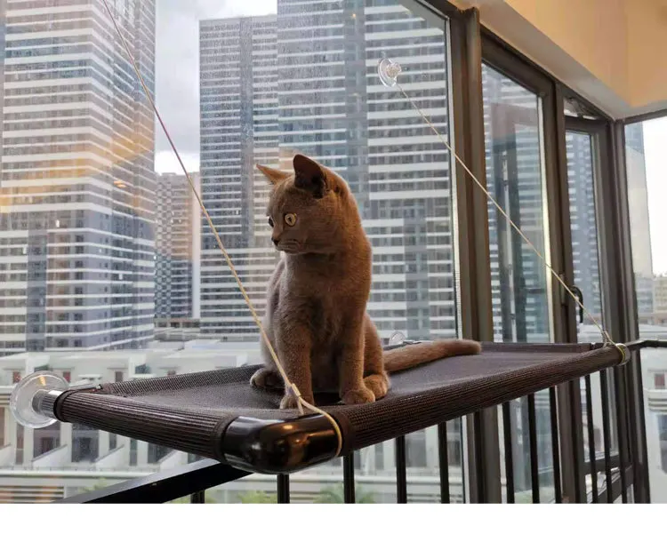 Cute Pet Hanging Beds Bearing 25kg Cat Sunny Window Seat Mount Pet Cat Hammock Comfortable Cat Pet Bed Shelf Seat Beds
Cute Pet Hanging Beds Bearing 25kg Cat Sunny Window Seat Mount Pet Cat Hammock Comfortable Cat Pet Bed Shelf Seat Beds