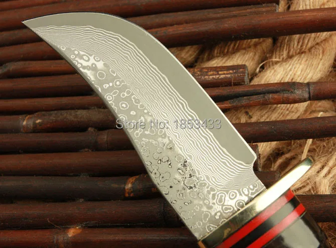 Damascus Steel hunting knife fixed blade outdoor camping knife with Wild cavel handle straight knife survived
Damascus Steel hunting knife fixed blade outdoor camping knife with Wild cavel handle straight knife survived