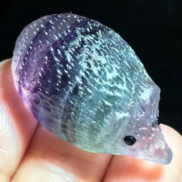 1Pcs Natural Fluorite Hedgehog Polished Quartz Hand-Carved Crystal Healing Rock
1Pcs Natural Fluorite Hedgehog Polished Quartz Hand-Carved Crystal Healing Rock