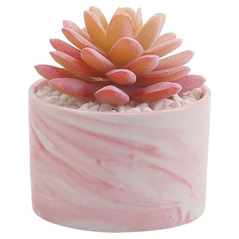 Marble Pattern Bonsai Artificial Plants Fake Flower Succulent Ceramic Pot with Pebble Creative Desktop Decoration Ornaments
Marble Pattern Bonsai Artificial Plants Fake Flower Succulent Ceramic Pot with Pebble Creative Desktop Decoration Ornaments