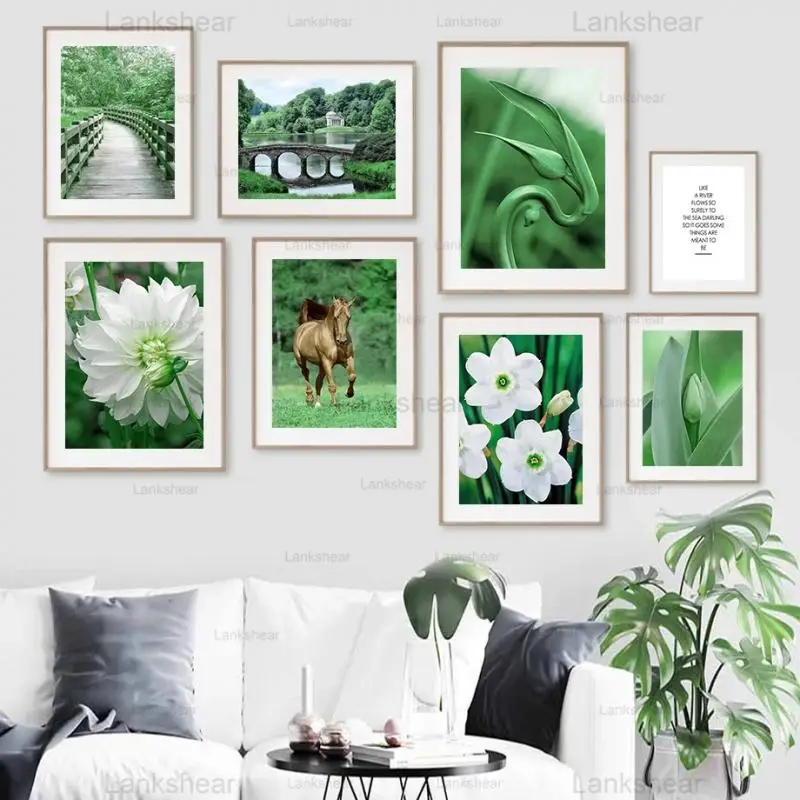 Spring Narcissus Plant Canvas Painting Pastoral Scenery Wall Art Nordic Hd Posters and Prints Picture for Living Room Decoration
Spring Narcissus Plant Canvas Painting Pastoral Scenery Wall Art Nordic Hd Posters and Prints Picture for Living Room Decoration