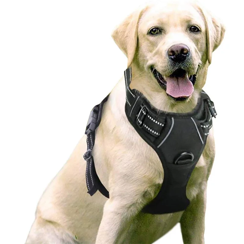 Dog Harness Adjustable Dog Chest Strap Walking Dog Reflective Vest Strap Pet Accessories Breathable Chest Strap For Dog Cats
Dog Harness Adjustable Dog Chest Strap Walking Dog Reflective Vest Strap Pet Accessories Breathable Chest Strap For Dog Cats