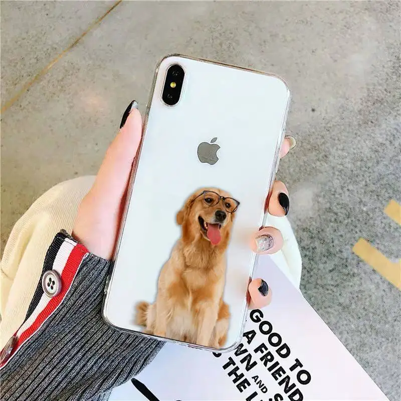 FHNBLJ Golden retriever dog Phone Case for iPhone 11 12 pro XS MAX 8 7 6 6S Plus X 5S SE 2020 XR case
FHNBLJ Golden retriever dog Phone Case for iPhone 11 12 pro XS MAX 8 7 6 6S Plus X 5S SE 2020 XR case