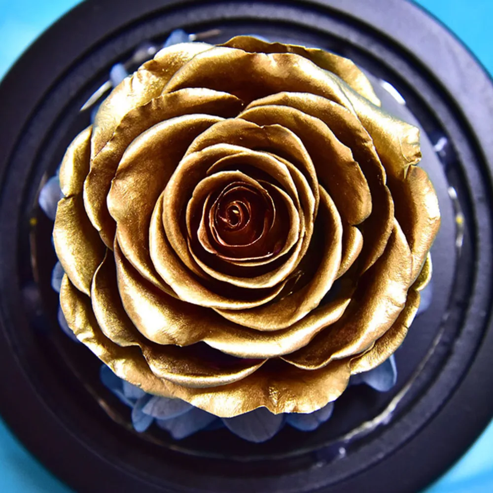 Glowing Eternal Rose Decor Glass Cover Desktop Adornment Home Ornament Valentine's Day Gift for without Battery (Black)
Glowing Eternal Rose Decor Glass Cover Desktop Adornment Home Ornament Valentine's Day Gift for without Battery (Black)