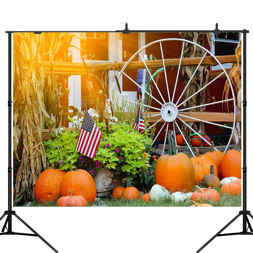 

Lyavshi Autumn Wheel flag Pumpkin Harvest Seasons Baby Portrait Photo Background Photographic Backdrops Photo Studio