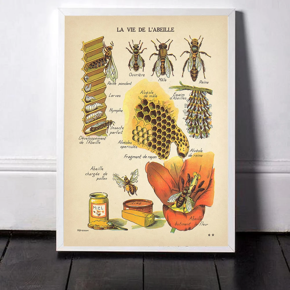 Antique Bees Prints Natural Poster Insects Vintage French Honey Bee Wall Art Canvas Painting Sepia Toned Bee Diagram Wall Decor
Antique Bees Prints Natural Poster Insects Vintage French Honey Bee Wall Art Canvas Painting Sepia Toned Bee Diagram Wall Decor