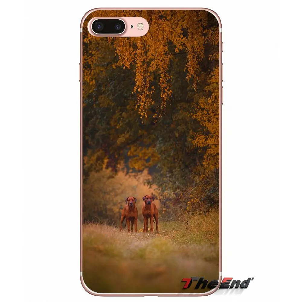 Мягкие прозрачные чехлы Родезийский Риджбек собаки для Apple IPhone X 4 4S 5 5S SE 5C 6 6s 7 8