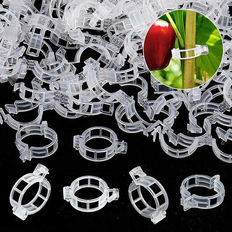 100pcs Transparant Plant Clips Supports Connects Reusable Protection Grafting Fixing Tool Gardening Supplies for Vegetable To
100pcs Transparant Plant Clips Supports Connects Reusable Protection Grafting Fixing Tool Gardening Supplies for Vegetable To