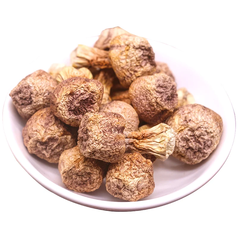 Ji songrong, dry chicken tricholoma matsutake bacterium fungus mushroom BaoJi tricholoma matsutake mushroom fungus mushrooms