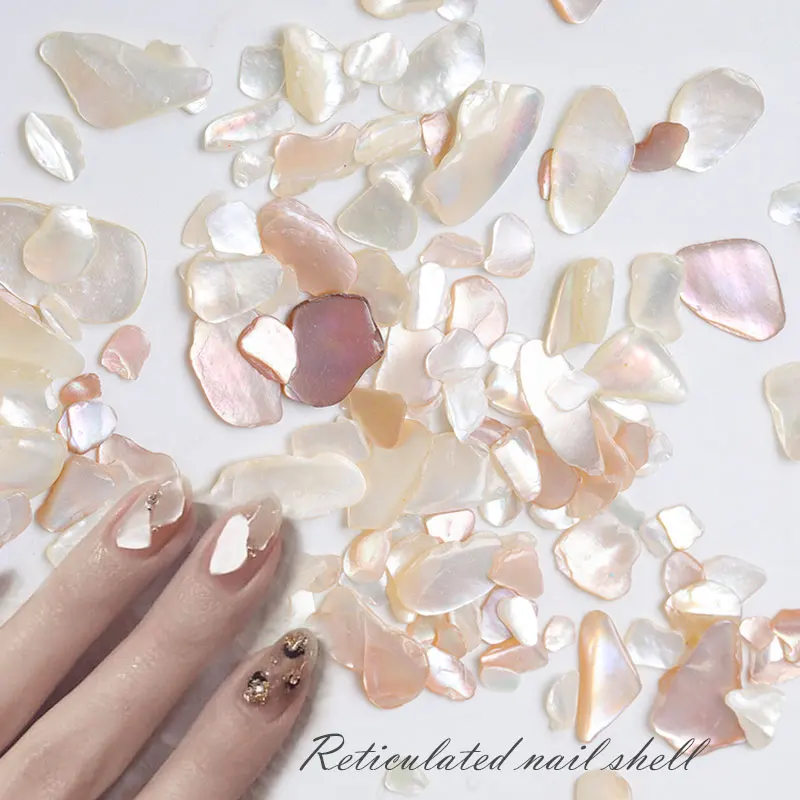 HNUIX 1 Box Shell Stone Nails Art Glitter for Nail UV Gel Nail Polish Flakies Decoration Nail Accessories
HNUIX 1 Box Shell Stone Nails Art Glitter for Nail UV Gel Nail Polish Flakies Decoration Nail Accessories