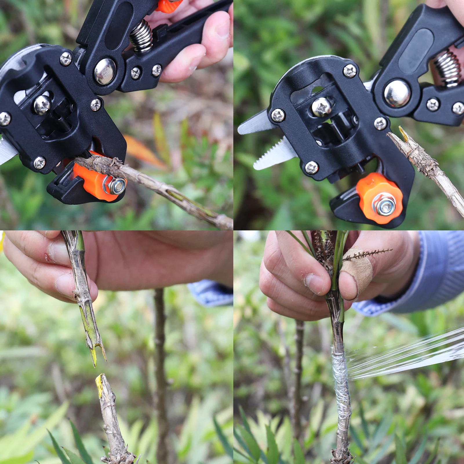 Household Garden Grafting Tool Set Fruit Tree Professional Pruning Shears Cutting Tools Kit
Household Garden Grafting Tool Set Fruit Tree Professional Pruning Shears Cutting Tools Kit