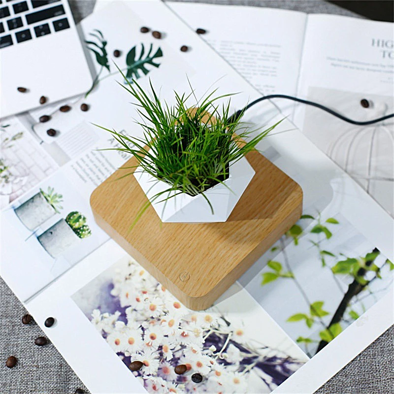 Magnetic Levitating Air Bonsai Pot Rotation Flower Pot Planters Magnetic Suspension Floating Pot Potted Plant Home Desk Decor
Magnetic Levitating Air Bonsai Pot Rotation Flower Pot Planters Magnetic Suspension Floating Pot Potted Plant Home Desk Decor