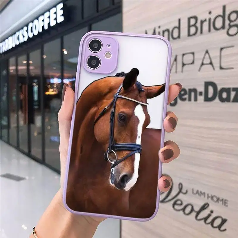 Frederik Great beauty horse art Phone Cases matte transparent For iphone 7 8 11 12 plus mini x xs xr pro max cover
Frederik Great beauty horse art Phone Cases matte transparent For iphone 7 8 11 12 plus mini x xs xr pro max cover