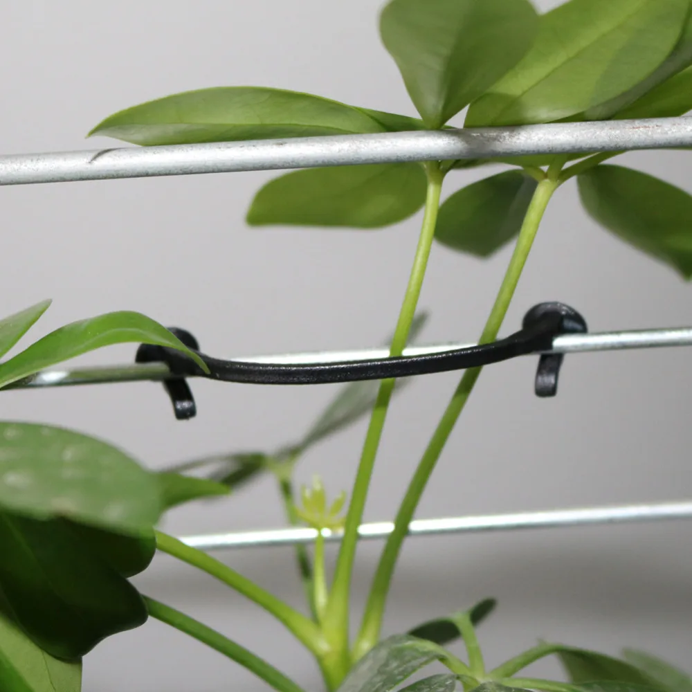 Agricultural Plant Vines Tied Buckle Fixed Lashing Hook Greenhouse Garden Flower Plant Tie for Garden Tools 2000 Pcs
Agricultural Plant Vines Tied Buckle Fixed Lashing Hook Greenhouse Garden Flower Plant Tie for Garden Tools 2000 Pcs
