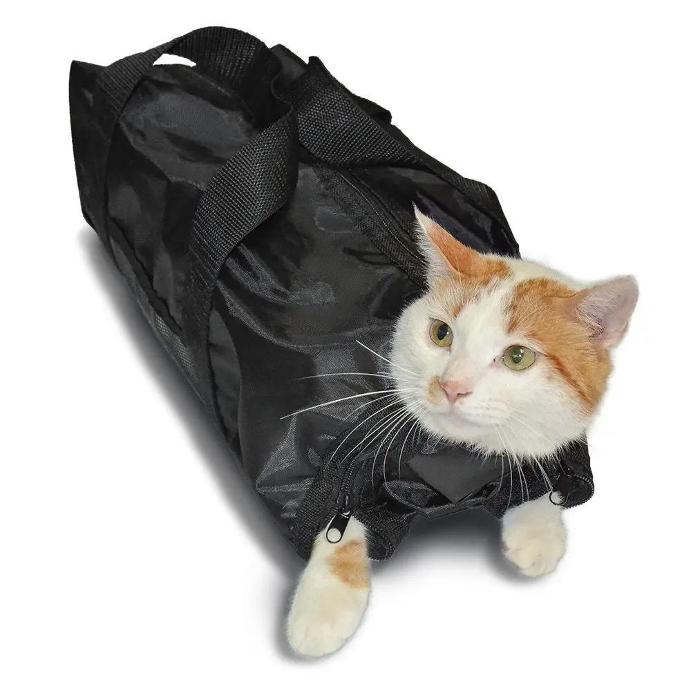 Pet Portable Convenient Carrying Bag Breathable and Durable Cat Shower Bag Cat Dressing Beauty Pu Leather Bags Pet Supplies
Pet Portable Convenient Carrying Bag Breathable and Durable Cat Shower Bag Cat Dressing Beauty Pu Leather Bags Pet Supplies
