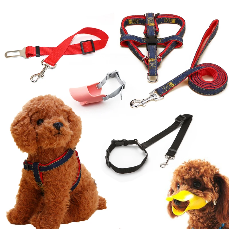 Nylon Pet Leashes Rope Outdoor Training Running Dog Leash Belt Dogs Lead for Small Dogs Product Pet Accessories Supplies
Nylon Pet Leashes Rope Outdoor Training Running Dog Leash Belt Dogs Lead for Small Dogs Product Pet Accessories Supplies