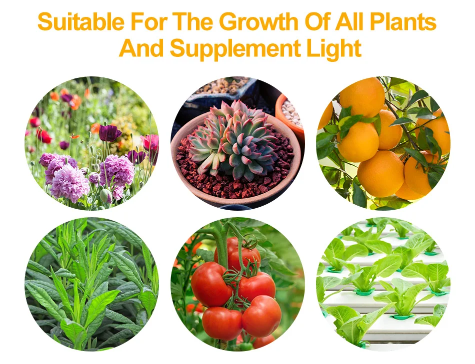 Growing Lamp Aquarium Grow Light 80W 50W Indoor Plant Light LED Panel110V 220V Full Spectrum Greenhouse Flower Seeds Tent Bulb
Growing Lamp Aquarium Grow Light 80W 50W Indoor Plant Light LED Panel110V 220V Full Spectrum Greenhouse Flower Seeds Tent Bulb