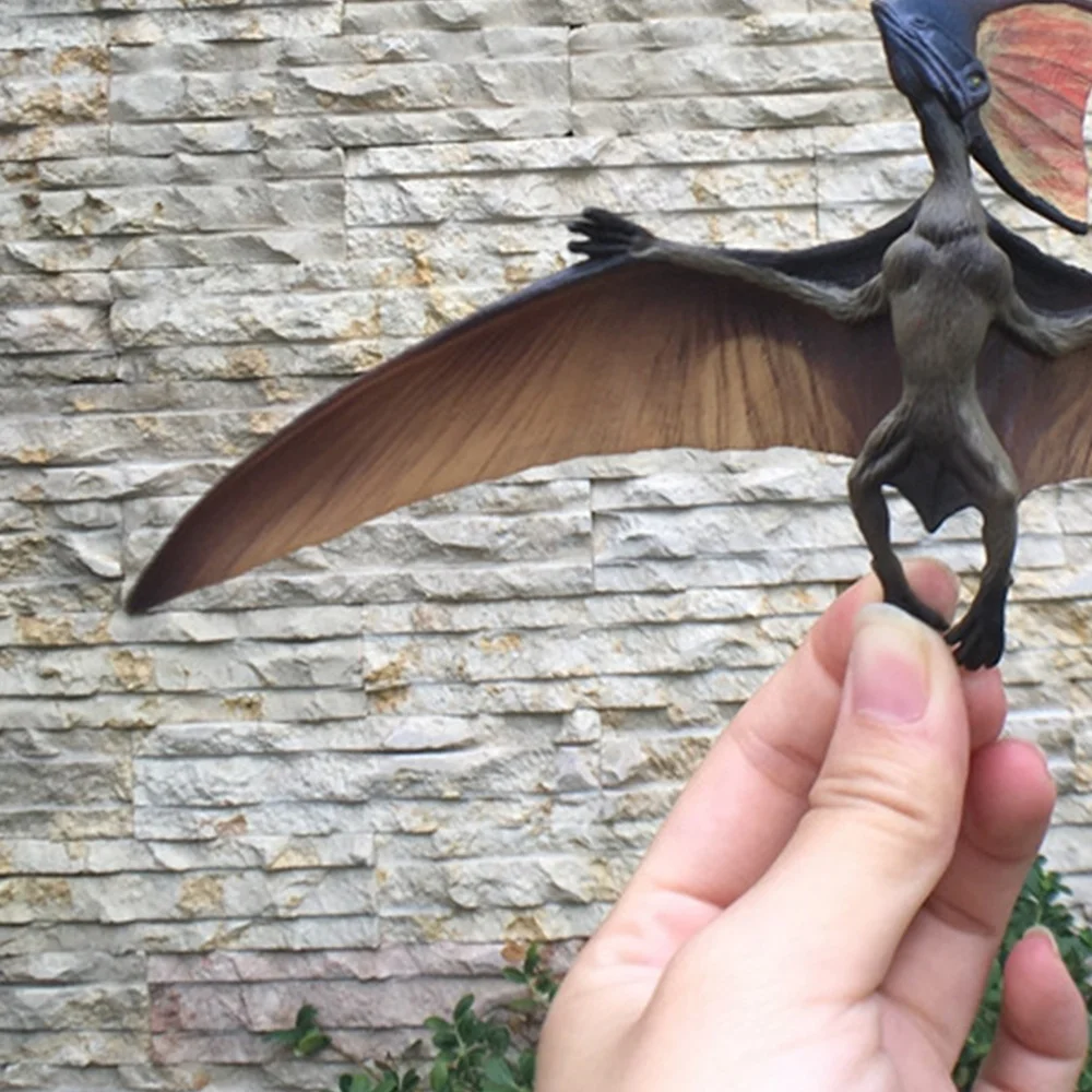 1pc Pterosaur Model Archaeopteryx Model Simulation Model Animal Figurine Early Educational Developmental 
1pc Pterosaur Model Archaeopteryx Model Simulation Model Animal Figurine Early Educational Developmental