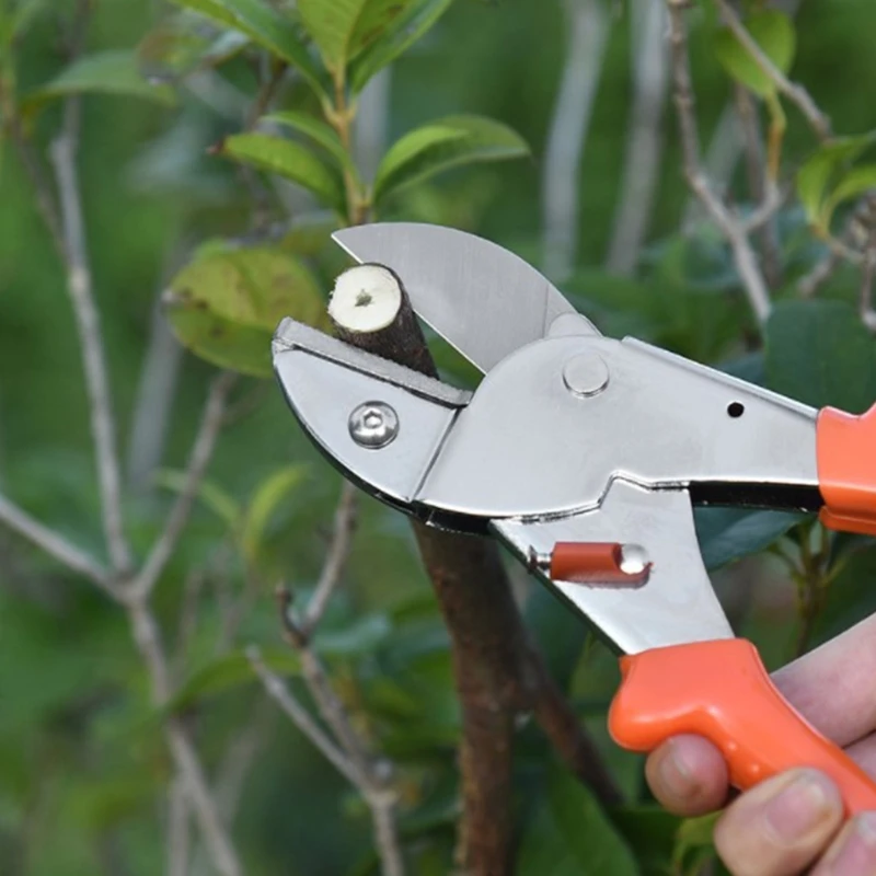 Reduce Plant Damage Waterproof and Rustproof Sharp Blade Pruning Shears Compact Sharp Small Contact Area Lightweight
Reduce Plant Damage Waterproof and Rustproof Sharp Blade Pruning Shears Compact Sharp Small Contact Area Lightweight