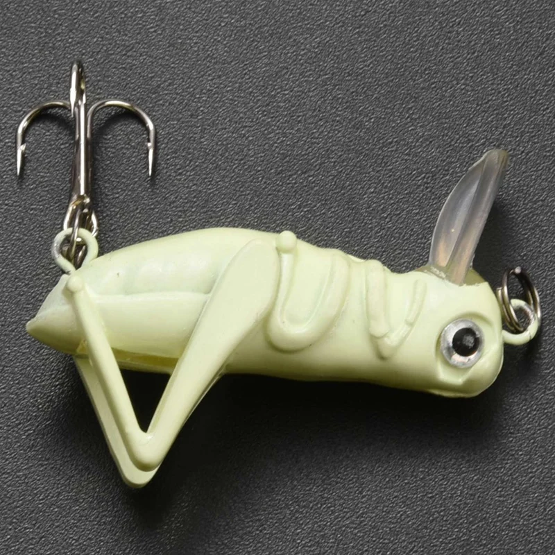 5 Pcs Luminous Fishing Lure Artificial Locust Grasshopper Lures & 1x Wicker Basket Fishing Creel Trout Perch Cage 
5 Pcs Luminous Fishing Lure Artificial Locust Grasshopper Lures & 1x Wicker Basket Fishing Creel Trout Perch Cage