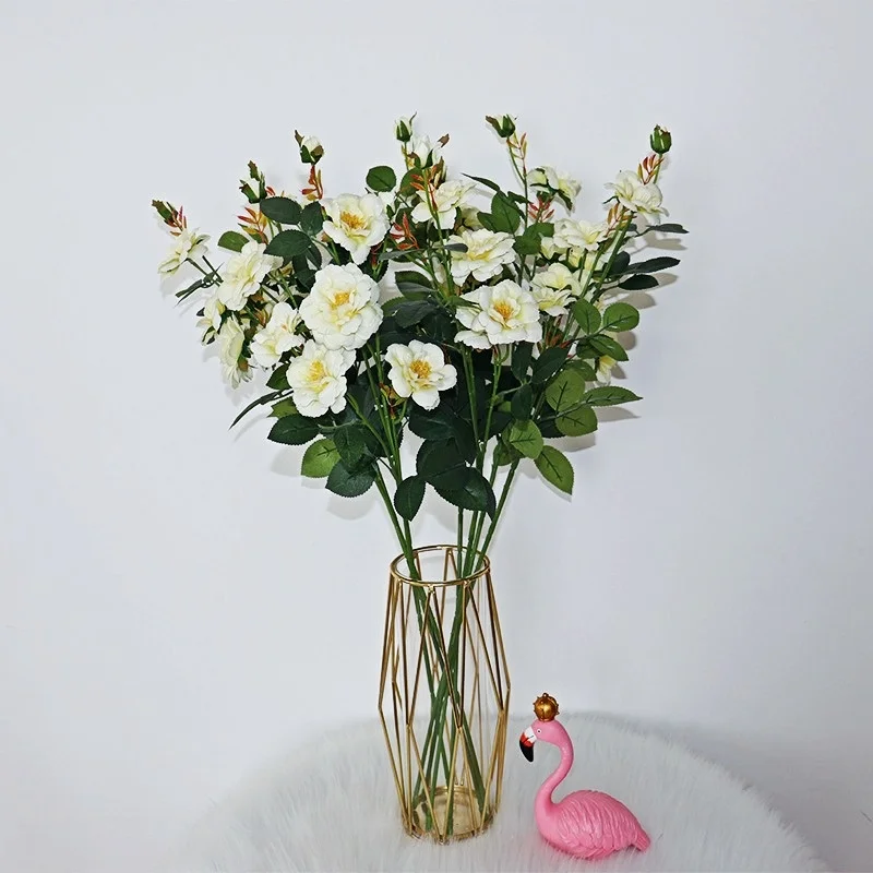 Artificial Flower,Single Branch, 72cm,Champagne Color, Long Chinese Rose, Home Decoration, Garden Landscaping, Hotel Furnishings
Artificial Flower,Single Branch, 72cm,Champagne Color, Long Chinese Rose, Home Decoration, Garden Landscaping, Hotel Furnishings