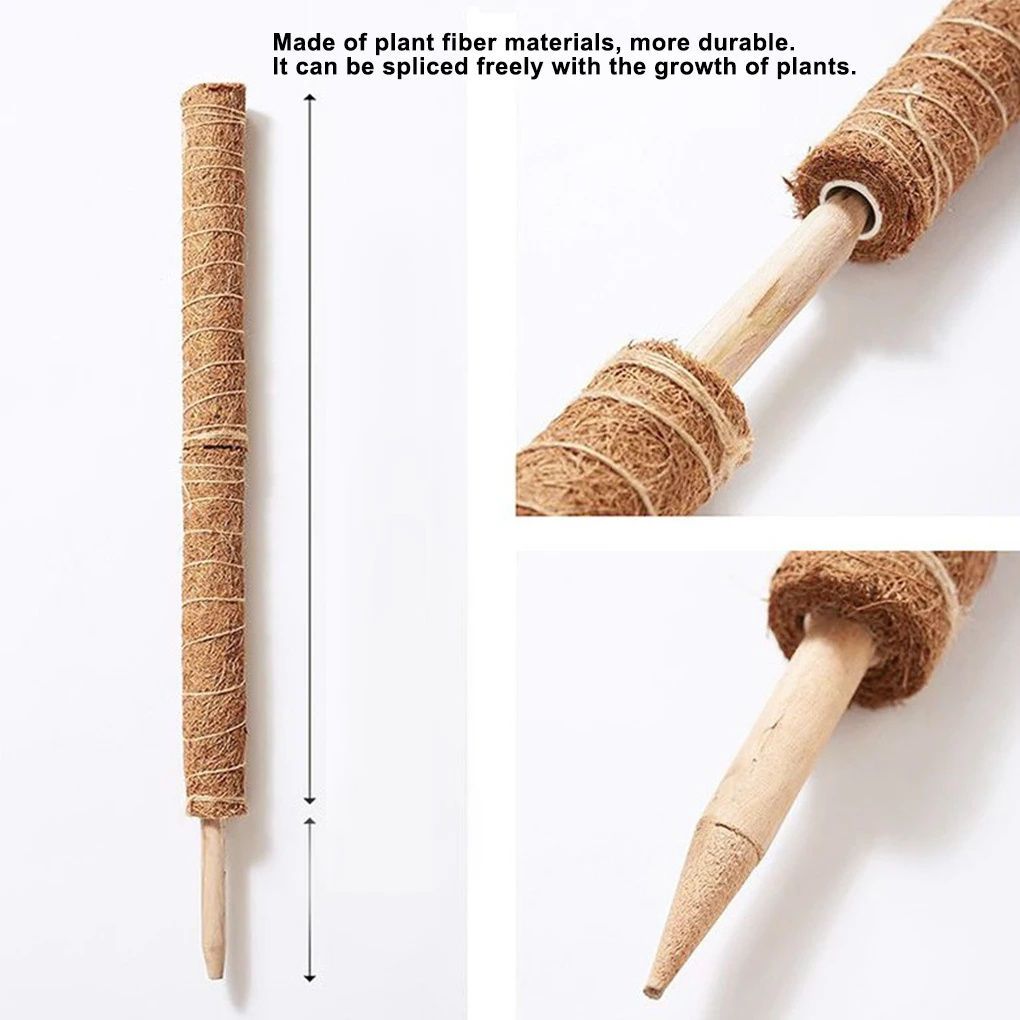 Plant Climbing Pole Coir Moss Stick Coir Moss Palm Vines Stick Plant Support Extension Climbing Indoor Plants Creepers 30cm 40cm
Plant Climbing Pole Coir Moss Stick Coir Moss Palm Vines Stick Plant Support Extension Climbing Indoor Plants Creepers 30cm 40cm