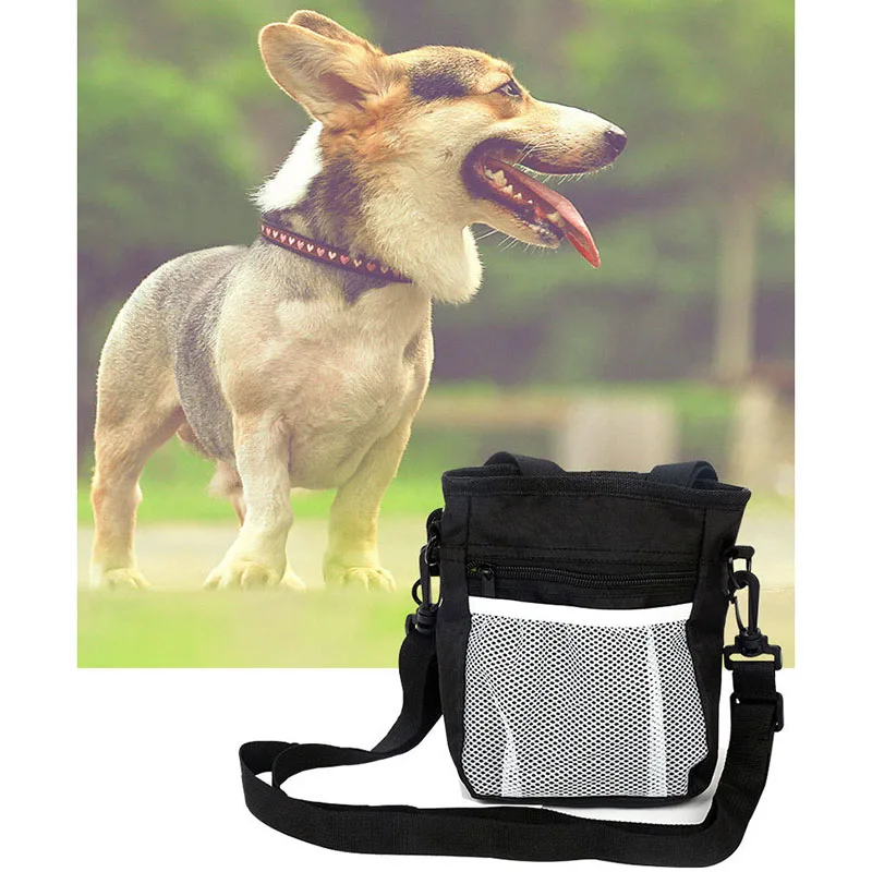 Portable Training Dog Bag Pet Pouch Snack Outdoor Dog Food Bag Large Capacity Waist Bags Silicone Travel Cat Bag Pet Products
Portable Training Dog Bag Pet Pouch Snack Outdoor Dog Food Bag Large Capacity Waist Bags Silicone Travel Cat Bag Pet Products