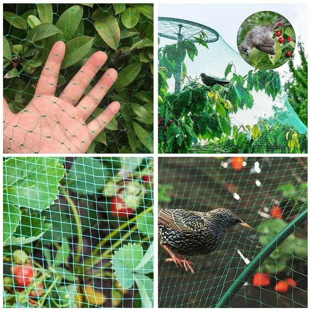 Anti Bird Pest Net Fruit Tree PE Garden Tool Aviary Cat Net Anti Control Protection Pest Field Dog Flower Chicken Net Veget P5I5 
Anti Bird Pest Net Fruit Tree PE Garden Tool Aviary Cat Net Anti Control Protection Pest Field Dog Flower Chicken Net Veget P5I5