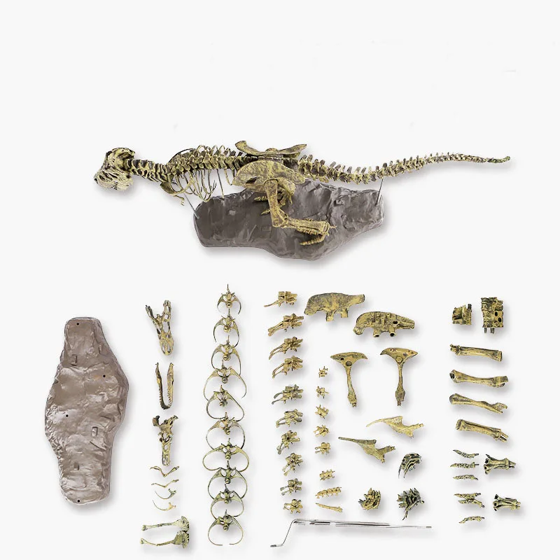 Имитация 3D динозавра модель скелета обучающий динозавр биология интересная