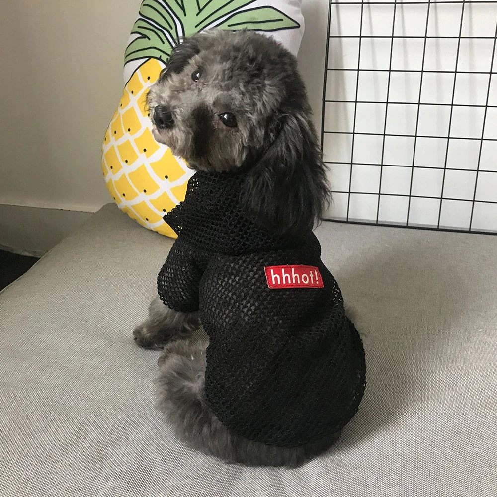 Breathable Pet Summer Sun-protective Clothes Puppy Hooded Reflective Coat Fashion Outdoor Clothes for Small Medium Cats Dogs Pet
Breathable Pet Summer Sun-protective Clothes Puppy Hooded Reflective Coat Fashion Outdoor Clothes for Small Medium Cats Dogs Pet