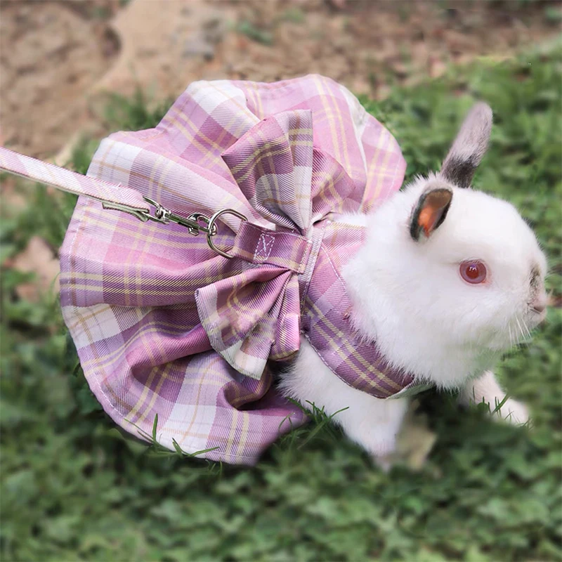 Rabbit Traction Rope Adult Lop-eared Bunny Outing Tools Bunny Walking Accessories College Style Photo Clothes Small Pet Supplies
Rabbit Traction Rope Adult Lop-eared Bunny Outing Tools Bunny Walking Accessories College Style Photo Clothes Small Pet Supplies