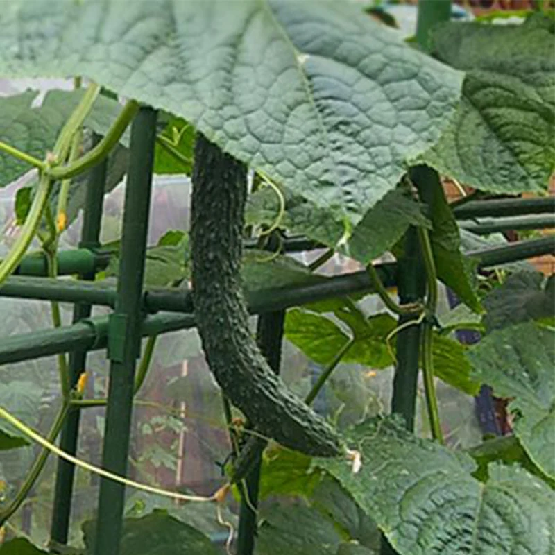 10Pc Garden Climbing Rattan Stent Accessories Rod Connector Stake Clip Agriculture Adjustable Plastic Fastener 360 Degree Claps
10Pc Garden Climbing Rattan Stent Accessories Rod Connector Stake Clip Agriculture Adjustable Plastic Fastener 360 Degree Claps