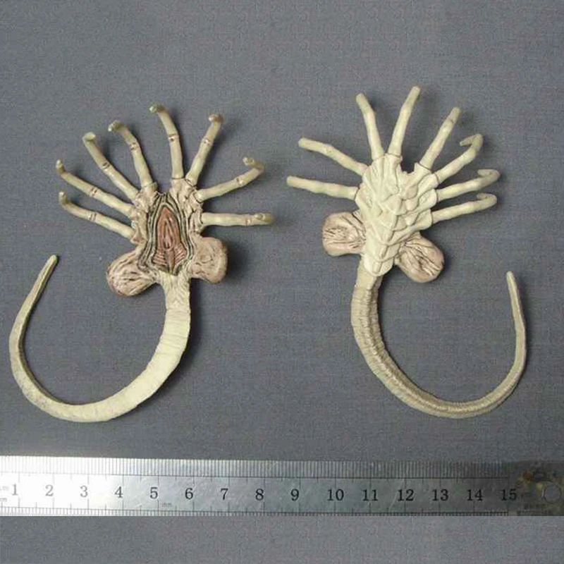1/6 Alien Predator Beast Facehugger Larvae Action Figure Accessory for 12" Action Figure Soldier Dolls In Stock
1/6 Alien Predator Beast Facehugger Larvae Action Figure Accessory for 12" Action Figure Soldier Dolls In Stock