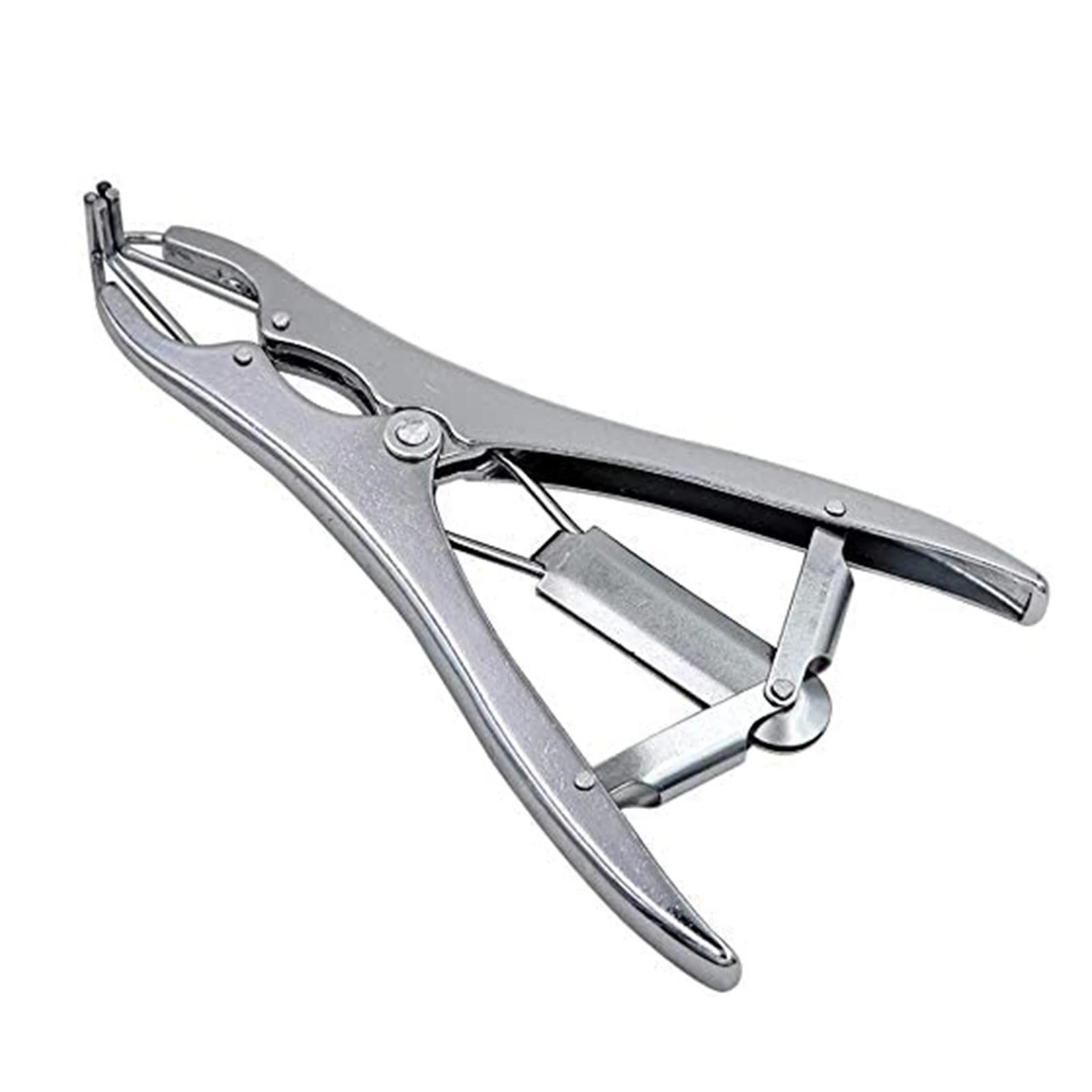 Нержавеющая сталь шар плоскогубцы расширения шар блестки заполнения расширить инструмент
Нержавеющая сталь шар плоскогубцы расширения шар блестки заполнения расширить инструмент