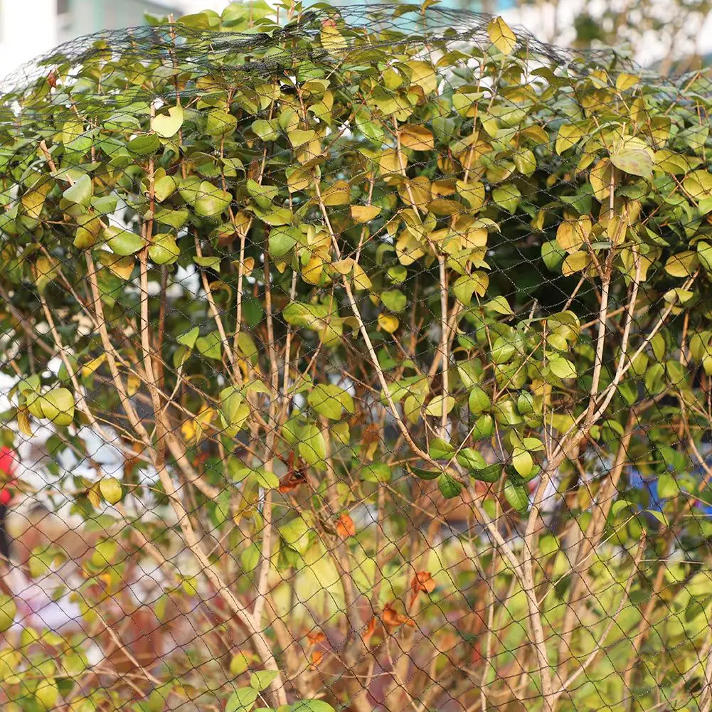 Bird Protection Net Pet Isolation Net Fish Pond Garden Anti-bird Net Anti-vandalism Protection Net Cat Garden Protection Net
Bird Protection Net Pet Isolation Net Fish Pond Garden Anti-bird Net Anti-vandalism Protection Net Cat Garden Protection Net