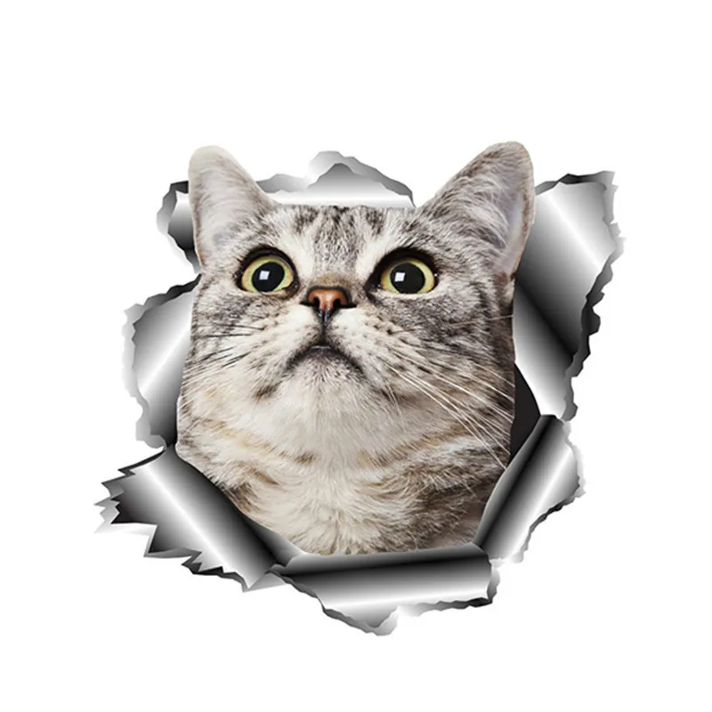 Hot Reflective Car Sticker Cute Pet Cat Vinyl for Car Window Auto Motorcycle Uv Protection Car Decorative KK13*12cm
Hot Reflective Car Sticker Cute Pet Cat Vinyl for Car Window Auto Motorcycle Uv Protection Car Decorative KK13*12cm