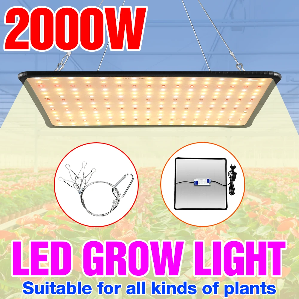 Waterproof LED Growing Lamp 2000W Seedling Phyto Lamps LED Panel Full Spectrum Plant Lights For Greenhouse Grow Box 2835 Chip
Waterproof LED Growing Lamp 2000W Seedling Phyto Lamps LED Panel Full Spectrum Plant Lights For Greenhouse Grow Box 2835 Chip