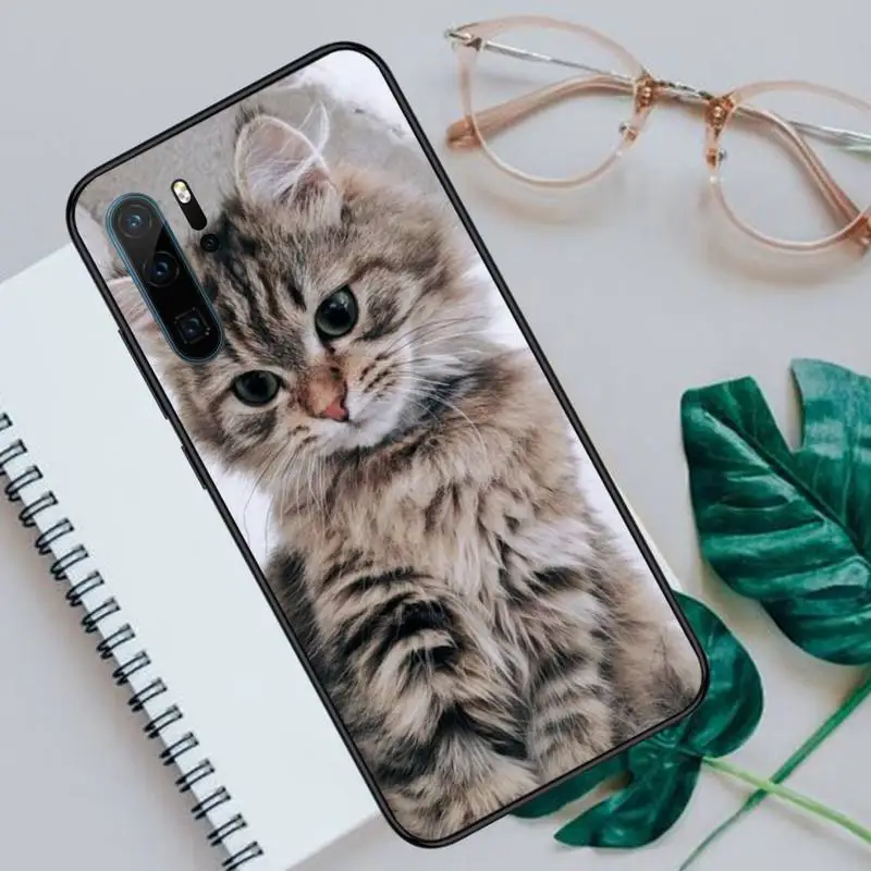 Cute animal cat Phone Cases For Huawei honor Mate P 10 20 30 40 Pro 10i 9 10 20 8 x Lite Luxury brand shell funda coque
Cute animal cat Phone Cases For Huawei honor Mate P 10 20 30 40 Pro 10i 9 10 20 8 x Lite Luxury brand shell funda coque
