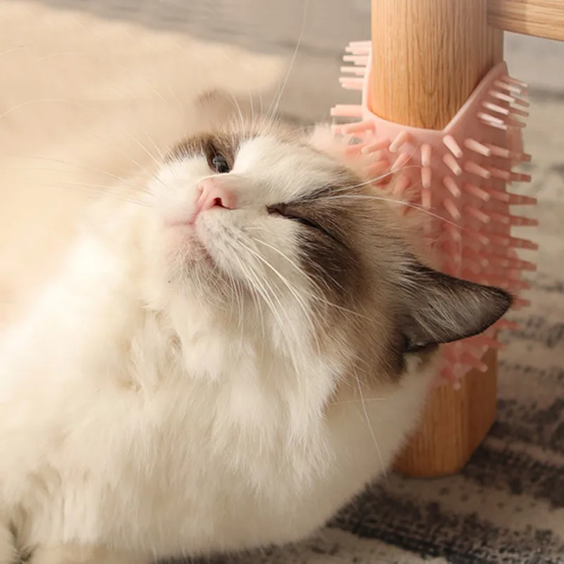 Cat self-grooming massage brush pet cats massage comb pets cat scratching board can be fixed cats grooming supplies
Cat self-grooming massage brush pet cats massage comb pets cat scratching board can be fixed cats grooming supplies