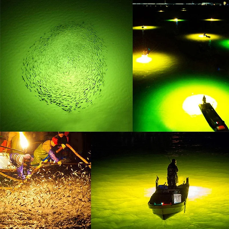 100W 12 LED Submersible Green Fishing Light Underwater Fish Finder Lamp By AA Battery
100W 12 LED Submersible Green Fishing Light Underwater Fish Finder Lamp By AA Battery